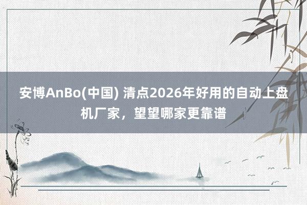 安博AnBo(中国) 清点2026年好用的自动上盘机厂家，望望哪家更靠谱