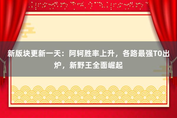 新版块更新一天：阿轲胜率上升，各路最强T0出炉，新野王全面崛起