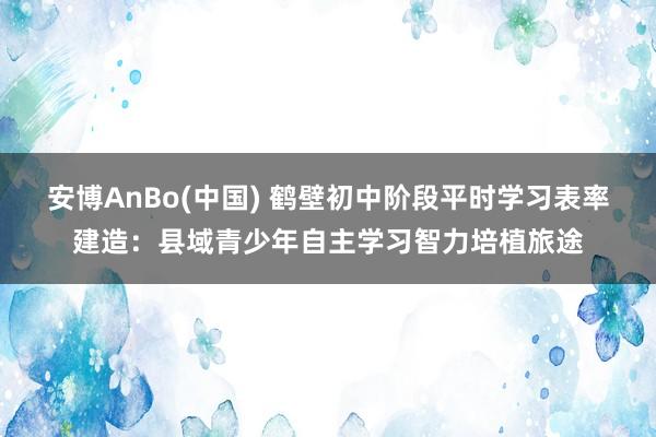 安博AnBo(中国) 鹤壁初中阶段平时学习表率建造：县域青少年自主学习智力培植旅途