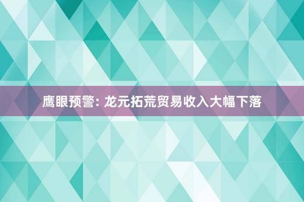 鹰眼预警: 龙元拓荒贸易收入大幅下落