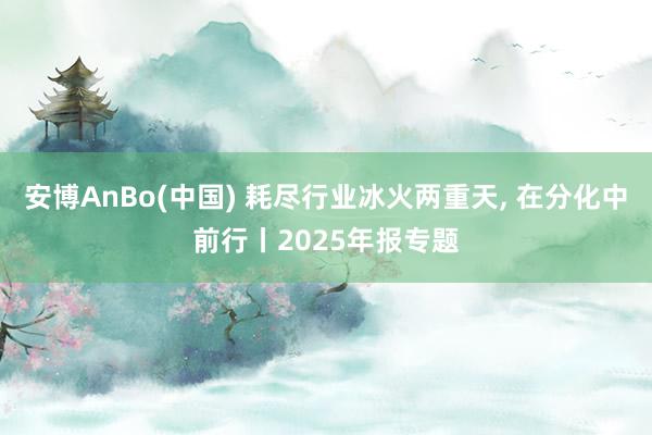 安博AnBo(中国) 耗尽行业冰火两重天， 在分化中前行丨2025年报专题