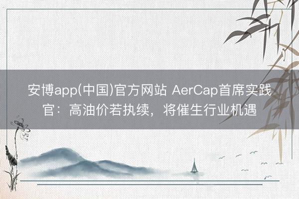 安博app(中国)官方网站 AerCap首席实践官：高油价若执续，将催生行业机遇